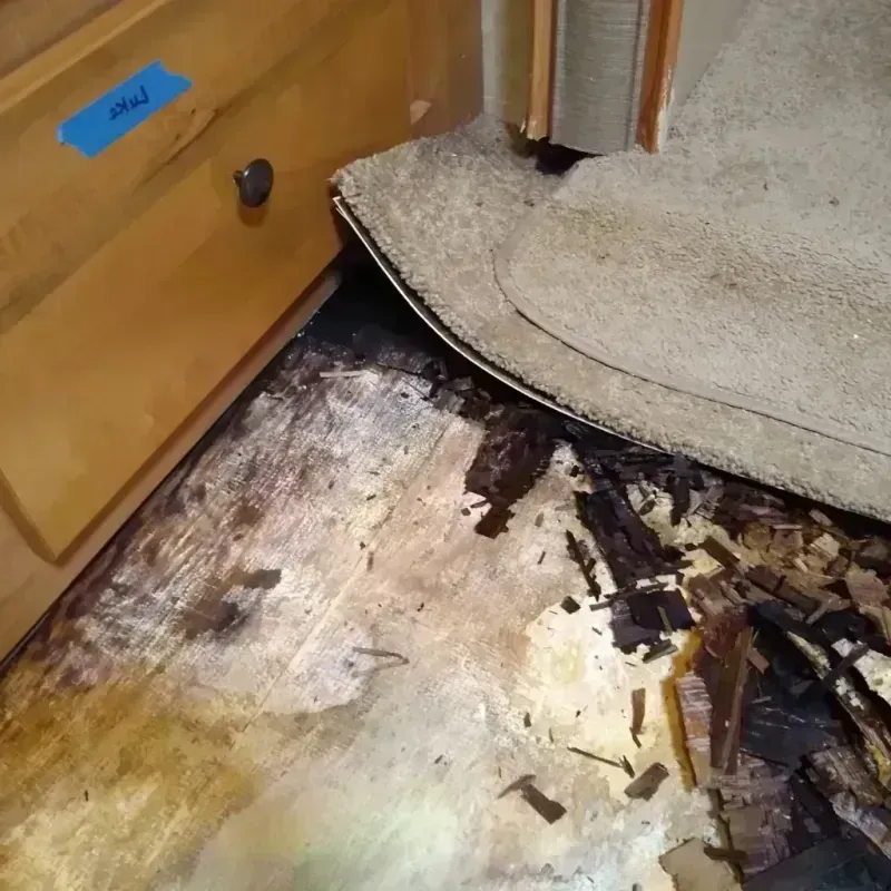 Wood Floor Water Damage in Morris, AL